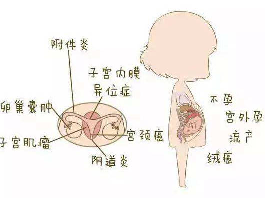 陰道分泌物深夜福利影院分析陰道炎早期症狀