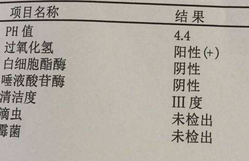 陰道分泌物深夜福利影院分析陰道清潔度