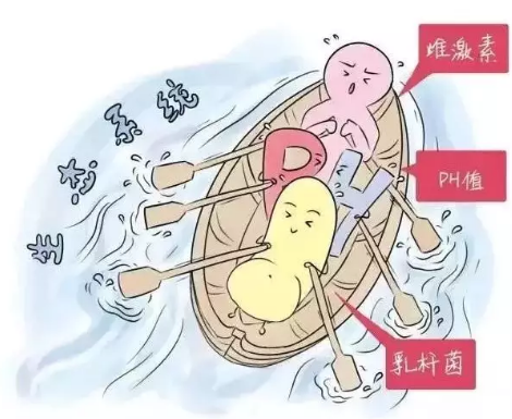 陰道微生態深夜福利影院廠家解析女性陰道分泌物的奧妙