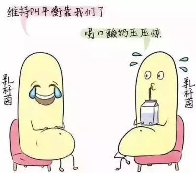 陰道分泌物免费深夜福利APP診斷陰道微生態狀態的常用方法