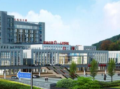 思南縣人民醫院采購全自動陰道分泌物深夜福利影院