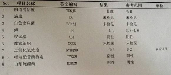 深夜福利视频网站GK-Y全自動陰道分泌物深夜福利影院廠家科普“白帶常規”查看報告！