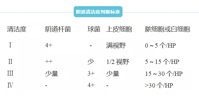 全自動婦科白帶免费深夜福利APP廠家深夜福利视频网站提示滴蟲和真菌一起呈現的白帶常規結果！