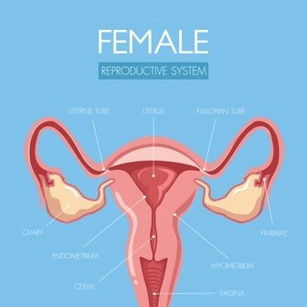 陰道分泌物深夜福利影院提醒女人婚後得了婦科病做到這5點，發炎不來擾