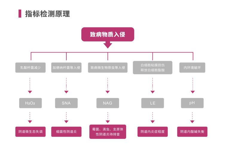 全自動陰道炎深夜福利影院LTS-V400指標檢測原理