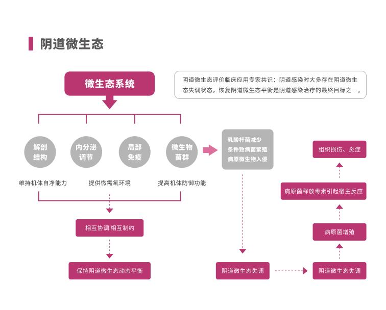 全自動陰道炎深夜福利影院LTS-V400陰道微生態係統