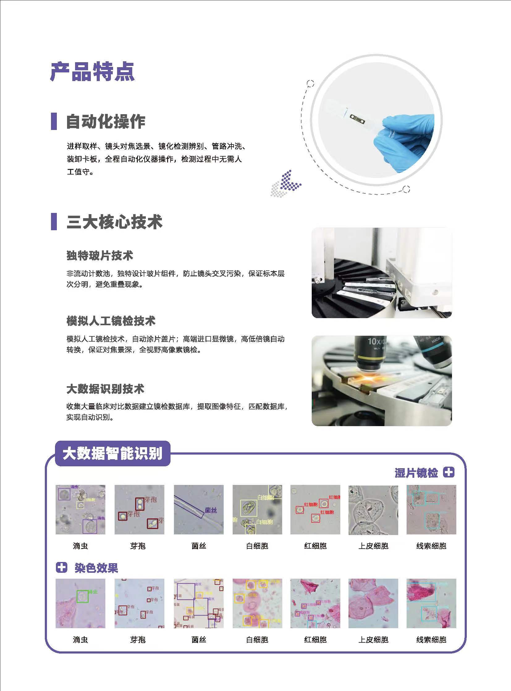 陰道分泌物免费深夜福利APPV800產品特點