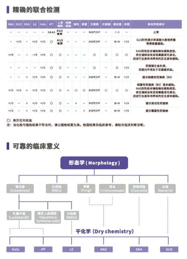 陰道分泌物免费深夜福利APPV800精確的聯合檢測