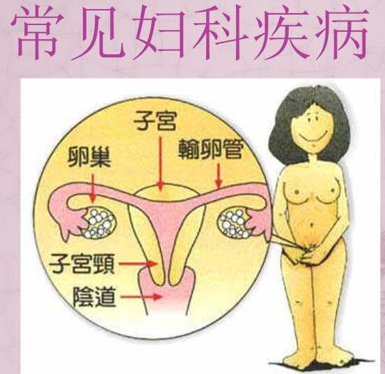 醫院全自動白帶免费深夜福利APP檢測女人婦科3種症狀，謹防子宮長瘤！