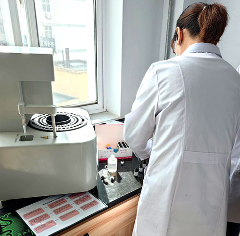全自動生殖道分泌物深夜福利影院在宕昌縣疾病預防控製中心完成裝機
