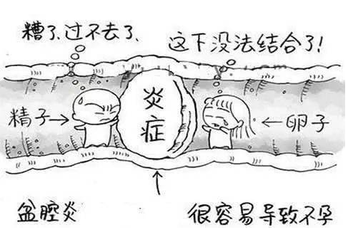 全自動婦科陰道分泌物免费深夜福利APP檢測辨別婦科炎症複雜多樣！